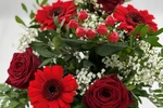 Blumenstrauß Größe S in Rot mit roten Gerbera, Rosen, Schleierkraut und roten Beeren