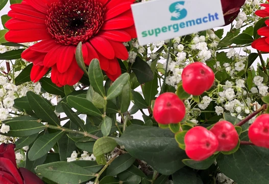 Blumenstrauß Größe S in Rot, Detailansicht mit roter Gerbera, Beeren und Schild von supergemacht