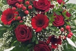 Blumenstrauß Größe L in Rot mit Rosen, Gerbera, Schleierkraut und roten Beeren