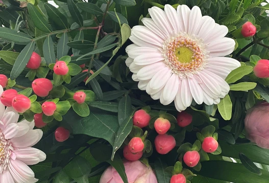 Blumenstrauß Größe L in Rosa, Detailansicht mit Rosen, Gerbera, Beeren und grünen Blättern
