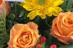 Blumenstrauß Größe L in Gelb und Orange, Detailansicht mit Gerbera, Rosen und roten Beeren