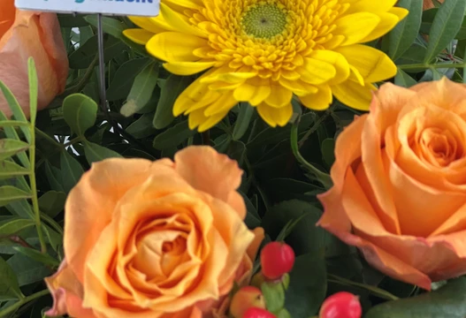 Blumenstrauß Größe L in Gelb und Orange, Detailansicht mit Gerbera, Rosen und roten Beeren