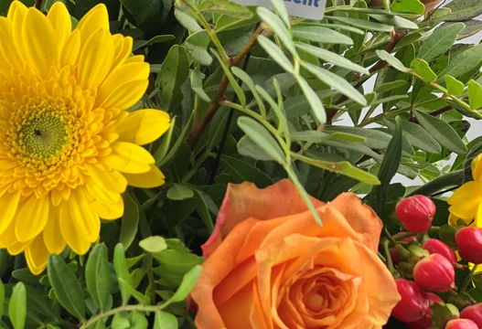 Blumenstrauß Größe M in Gelb und Orange, Detailansicht mit gelber Gerbera und oranger Rose