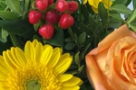 Blumenstrauß Größe S in Gelb und Orange, Detailansicht mit gelber Gerbera, oranger Rose und Beeren