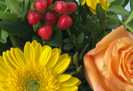 Blumenstrauß Größe S in Gelb und Orange, Detailansicht mit gelber Gerbera, oranger Rose und Beeren